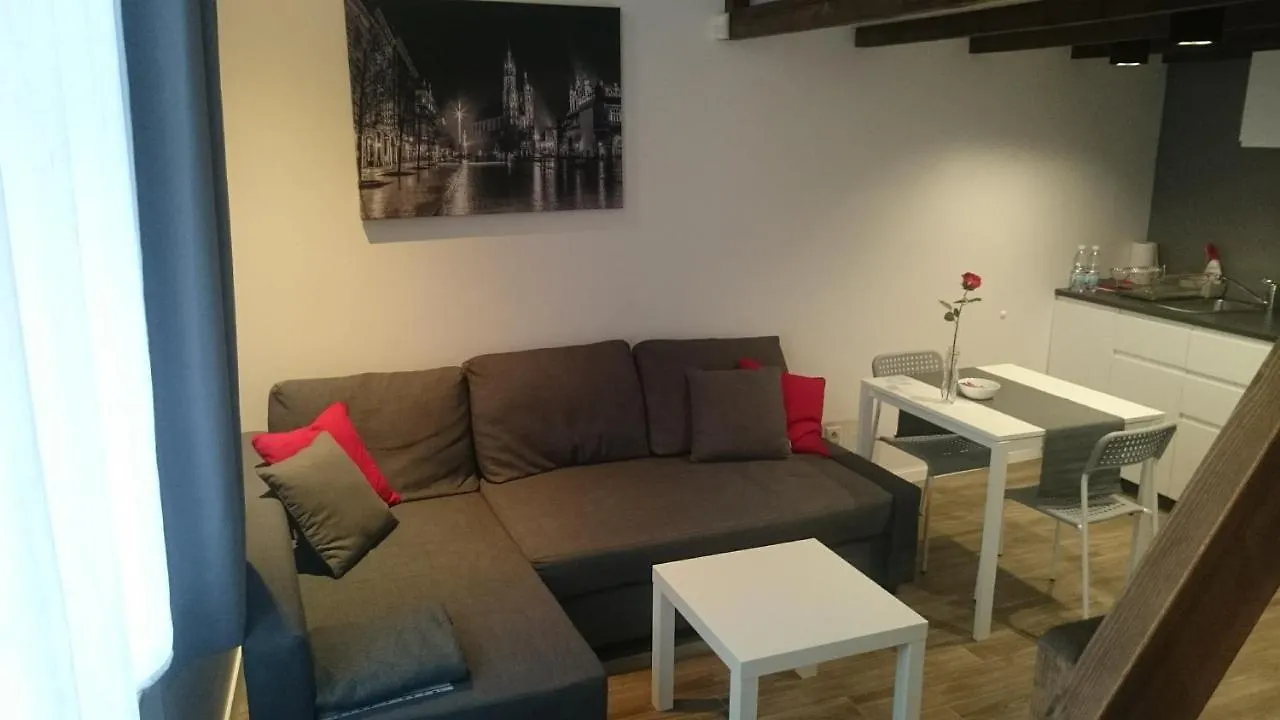 Heynow Apartment Krakow Poland