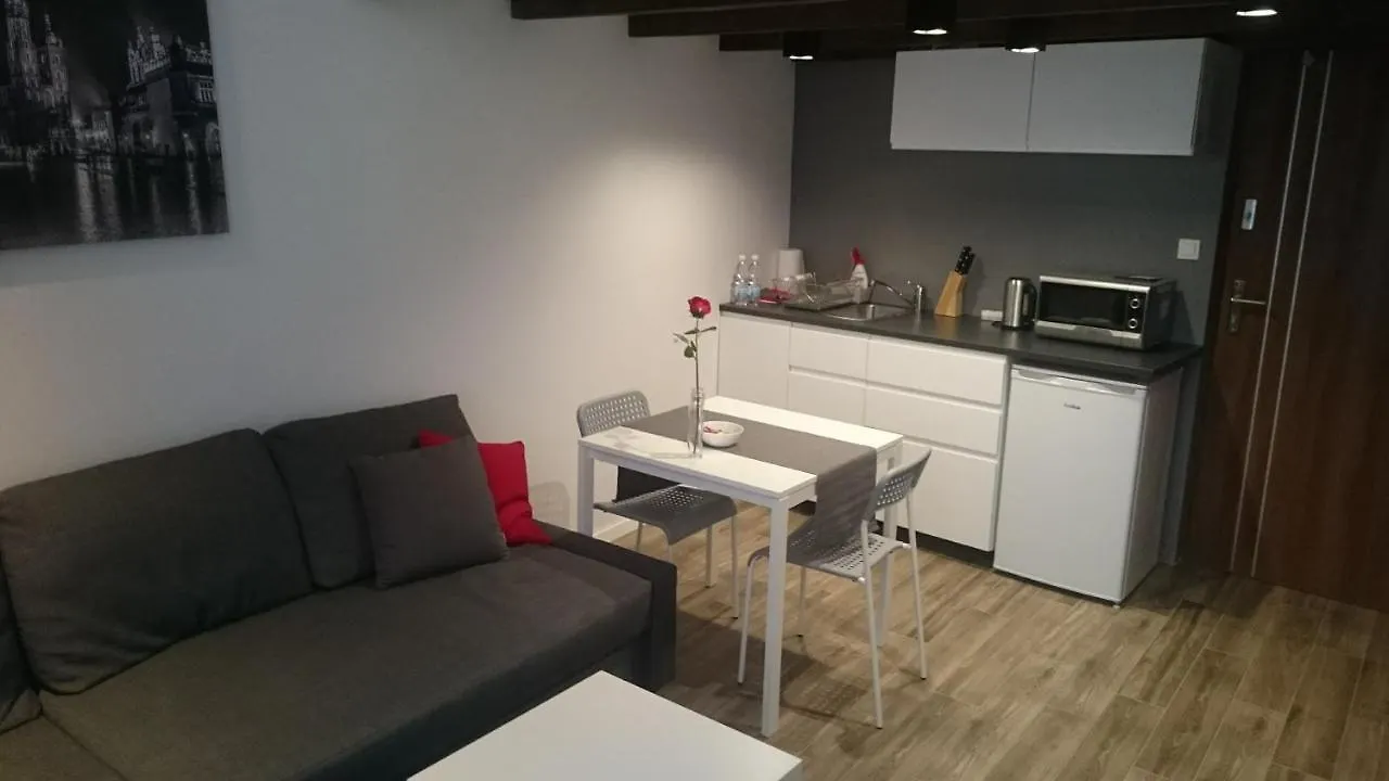 Heynow Apartment 크라쿠프