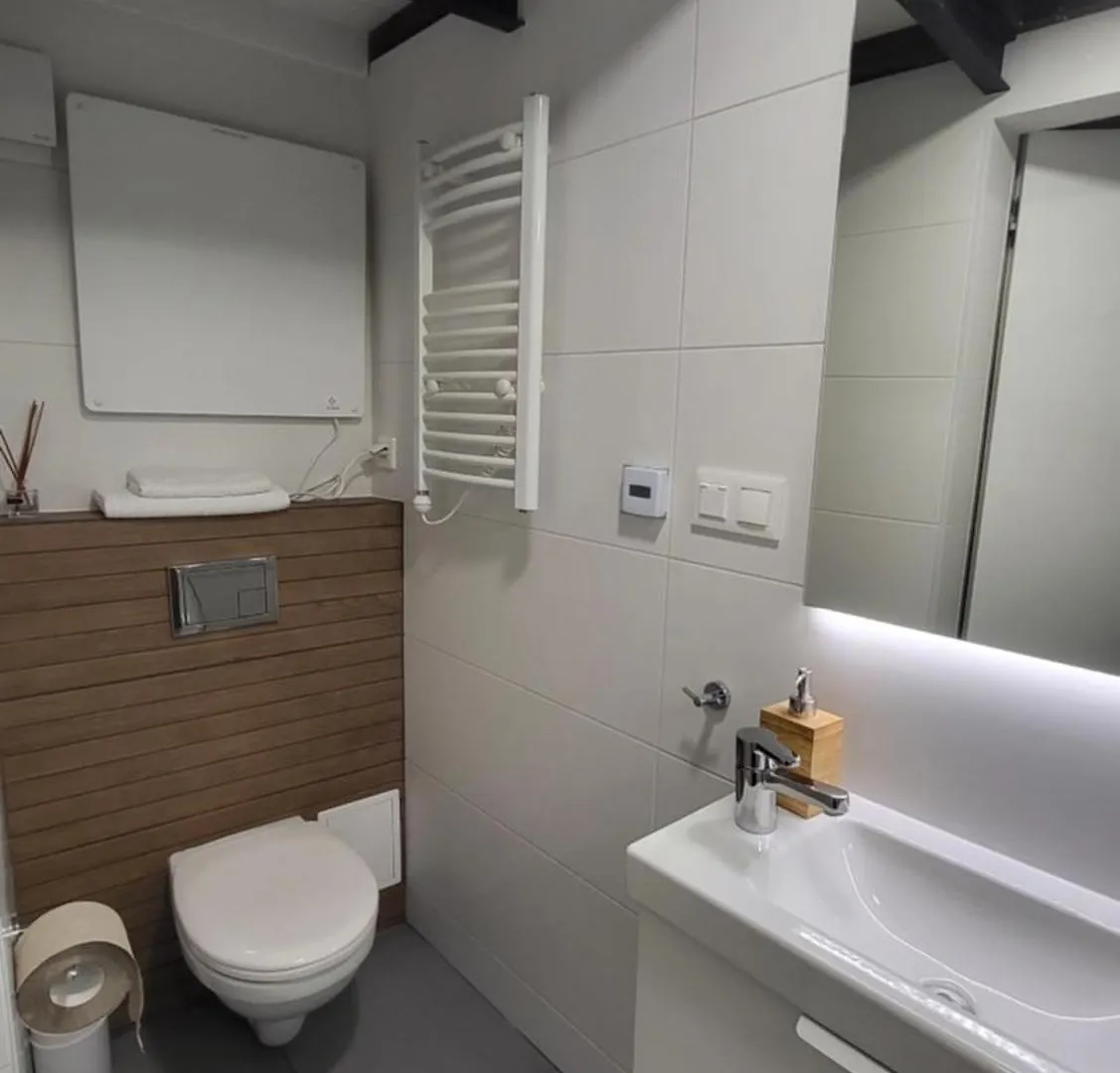 Heynow Apartment 크라쿠프 폴란드